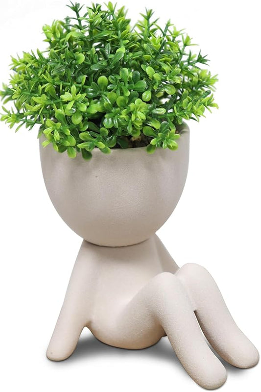 Zerzsy Fake Plants Artificial Succulents Plants for Room Bathroom Home Office Desk Accessories Decor - Set of 1