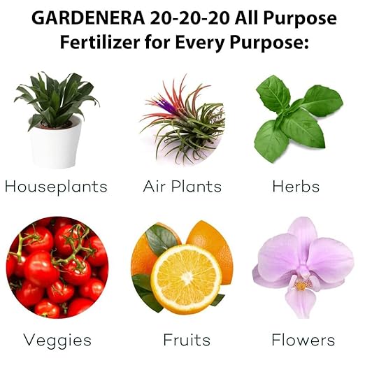 𝐁𝐄𝐒𝐓𝐒𝐄𝐋𝐋𝐄𝐑 20-20-20 Water-Soluble Fertilizer – Powder for Liquid Plant Food for Indoor & Outdoor Plants, Orchids, Vegetables, Lawns, Flowers – 20 20 20 Fertilizer [8 OZ]