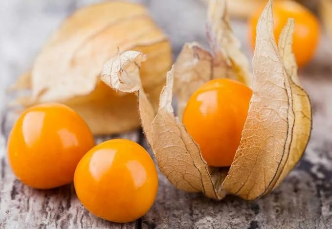 Seeds Cape Gooseberry Peruvian Groundcherry - Orange Physalis - Heirloom Fruit - GMO Free