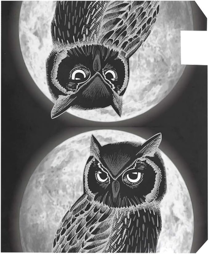 ALAZA WOOR Halloween Animal Owl Moon Magnetic Mailbox Cover MailWraps Garden Yard Home Decor for Outside Standard Size-18"x 20.8"