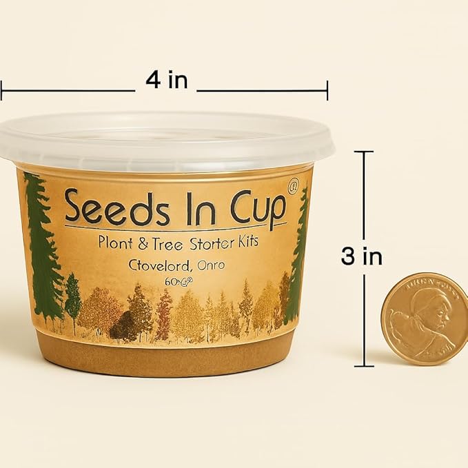 English Ivy Plant Starter Kit – Seeds In A Cup® Mini Greenhouse Indoor Gardening Kit for Beginners Easy Grow Ivy Seeds Clear Lid Planter Gift for Plant Lovers & Kids Made in USA