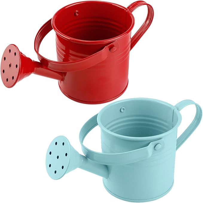 2Pcs Mini Watering Can Sprinkler Bucket for Kids Metal Gardening Water Pot for Outdoor and Indoor House Plants, Blue/Red/Cute Watering Can