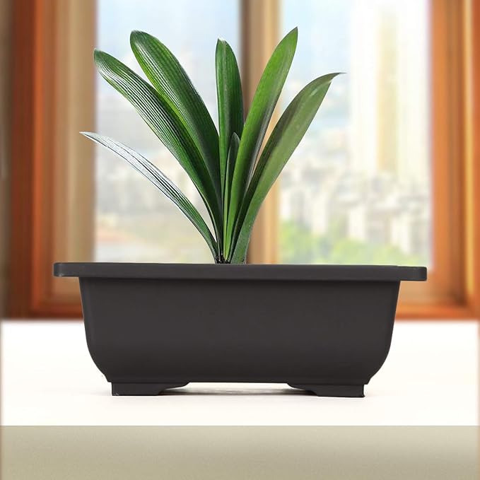 KINJOEK 20 PCS 6.5 Inch Bonsai Training Pots, Rectangular Plastic Bonsai Pots, Flower Succulent Pots Container for Garden, Indoor, Home Decorative