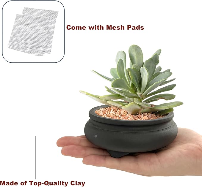 Bonsai Planter 2 pc 3.7" + 3.9" Unglazed Round Ceramic Succulent Pots Set