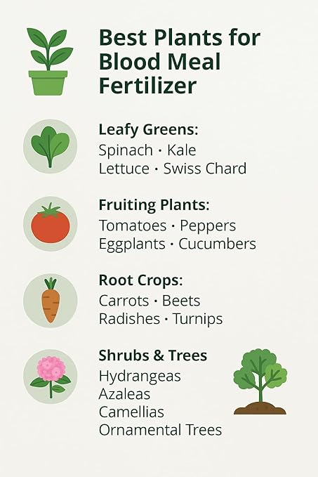 𝐁𝐄𝐒𝐓𝐒𝐄𝐋𝐋𝐄𝐑 Organic Blood Meal Fertilizer by Gardenera - 12-0-0 NPK - All-Natural Plant Food Source of Nitrogen for Organic Gardening, Flowers, Vegetables, Trees & Shrubs - 2 QUARTS