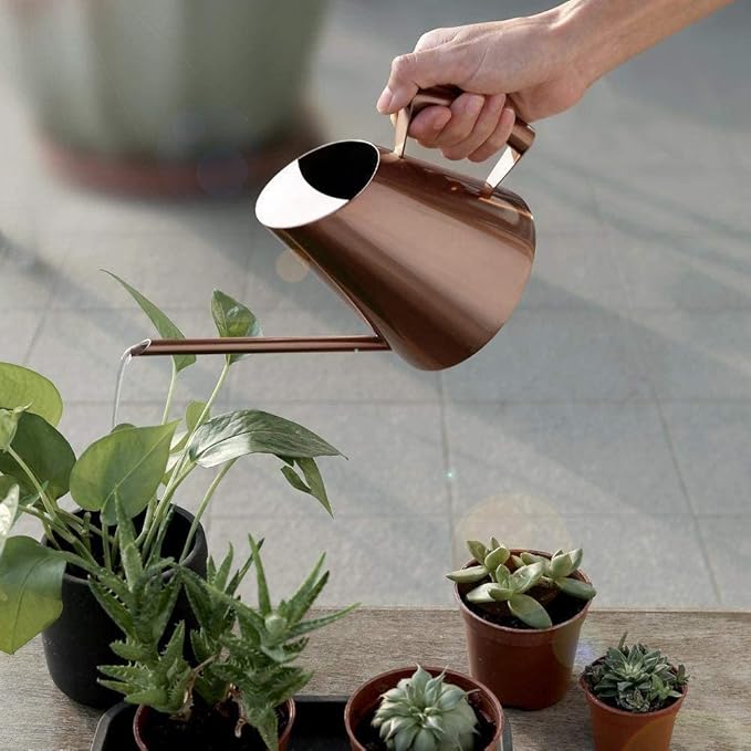 AUNMAS Bonsai Watering Can with Long Straight Spout, Stainless Steel Watering Can Pot for Indoor Houseplant Bonsai Flower, Gardening Kettle 900ml (M)