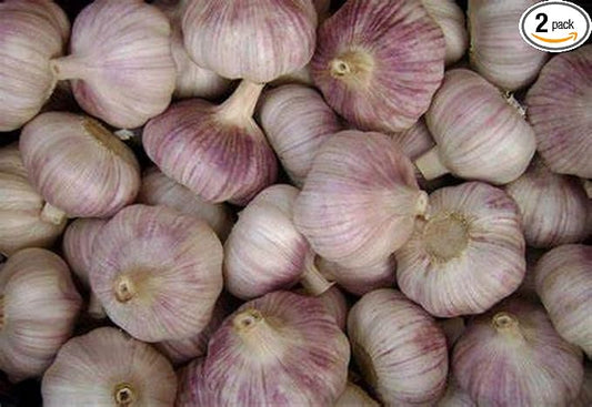 Garlic Bulbs Whole, Early Purple Italian Garlic Bulbs, 2 Bulbs, This Garlic is ready for Eating or Planting, Cool Beans N Sprouts