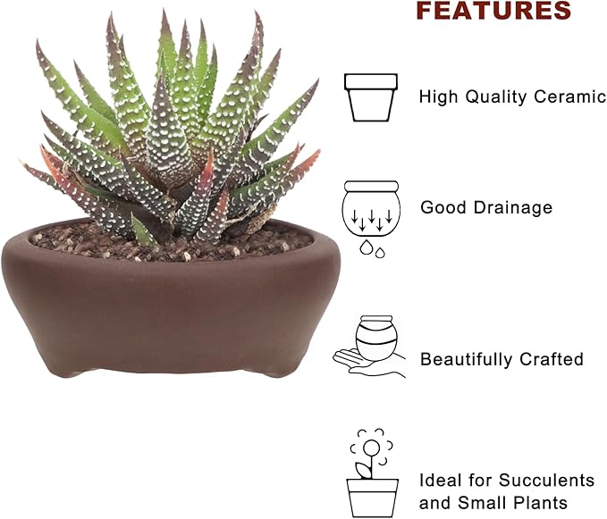 Bonsai Planter 2 pc 3.7" + 3.9" Unglazed Round Ceramic Succulent Pots Set
