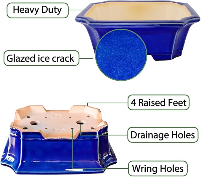 MUZHI Blue Bonsai Plant Pot 9.9” with Drip Saucer, Classic Glazed Ceramic Planter Container for Tree, Cactus, Succulent