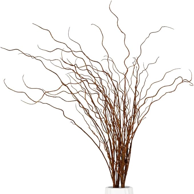 Artificial Plants Faux Greenery Eucalyptus Stems,Faux Branches for Vase Filler,Artificial Ficus Twig Branches Stems for Shop Garden Office Home Décor (3, Stems02)