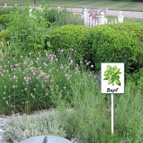 FemiaD Plant Label Signs Planted Herb Garden Markers Waterproof Aluminum Plant Stake Tags Basil Sign for Nursery Indoor Outdoor Garden Decoration 8x12inch