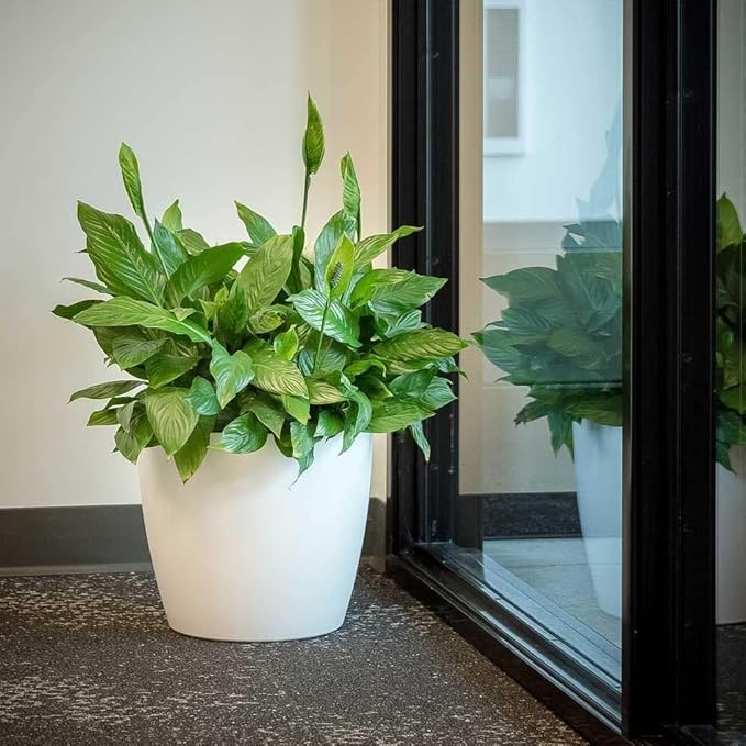 Memphis 13" Round Indoor Floor Planter Pot – Lightweight & Durable Plastic, Modern Design, Made in USA, Recyclable Large Plant Container for Home & Office Décor (Charcoal Meta