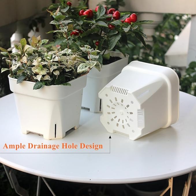 BangQiao 20 Pack 5.50 Inch White Plastic Nursery and Seedling Pots, Square Seed Starter Plant Pot Container for Cactus, Succulent, Cutting, Transplanting