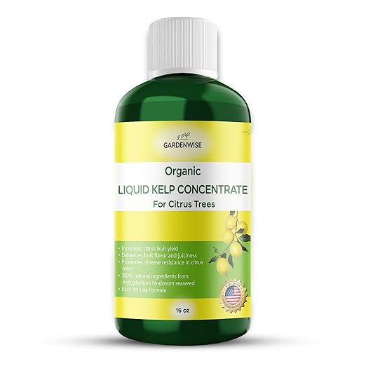Organic Premium Kelp Seaweed Fertilizer: All-in-One Citrus Tree Fertilizer for Meyer Lemon, Lime, and Other Fruiting Trees - Liquid Plant Food for Potted & Outdoor Citrus Trees (16 OZ)