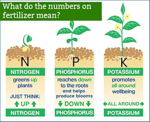Premium 8-4-8 Professional Palm Tree Fertilizer Plant Food |Indoor Potted Plants and Outdoor Landscape Palm Trees | Quick-Release Nitrogen Fertilizer and Continuous Feeding [12 OZ]