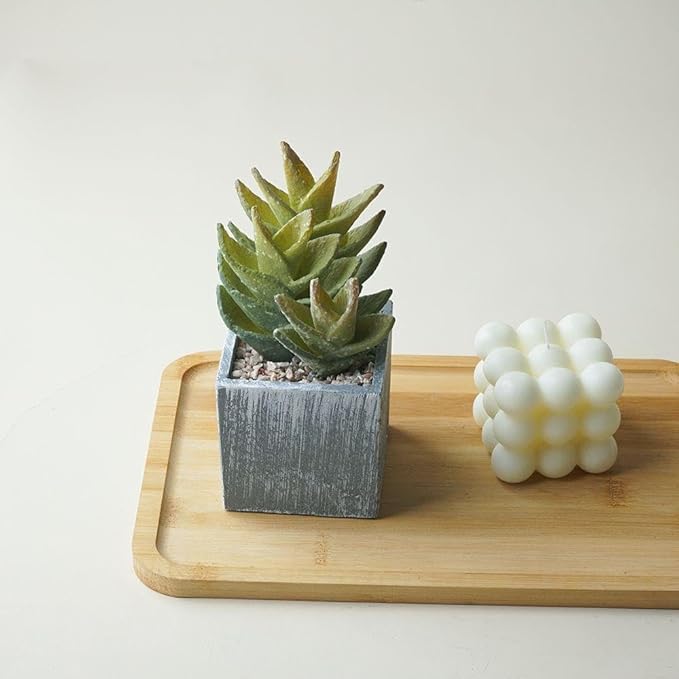 Cactus Artificial Plants,Faux Cactus Potted Plants, Indoor Decor for Home,Office,Kitchen,Living Room,Desk,Shelf(Grey Pots)