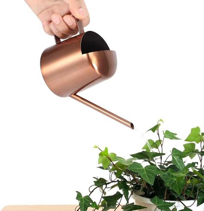 Milltrip Small Watering Can, 300ml Small Stainless Steel Watering Can Plant Flower Long Spout Sprinkling Pot for Home Use