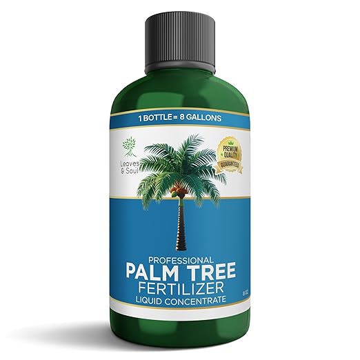 Leaves and Soul Professional Palm Tree Fertilizer Liquid Concentrate - 6-4-6 Blend for Tropical Plant Fertilizer, Garden Use - Liquid Plant Food for Palm Trees and Bushes Outdoors - 8oz