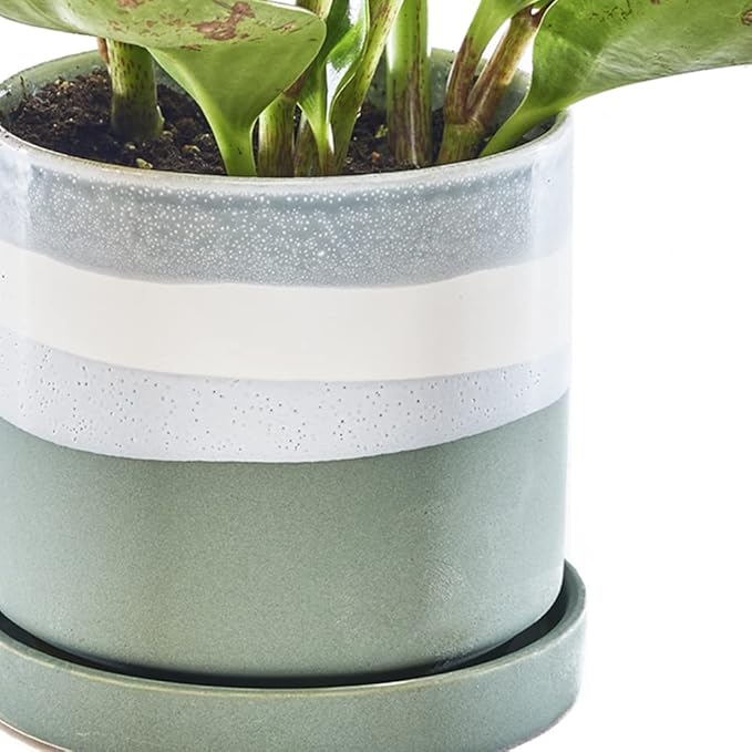 CHIVE ‘Minute’ Ceramic Planter Pot — Cute 5” Colorful Succulent Pots for Indoor & Outdoor House Plants — Beautiful Modern Farmhouse Kitchen Decor — Matte Green