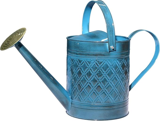 Headwind Wexley Metal Watering Can Outdoor – Mountain Blue Wave 2 Gallon Decorative Metal Watering Cans for Garden, Patio, and Indoor Plants – Durable, Stylish, and Easy to Use by Robert Allen