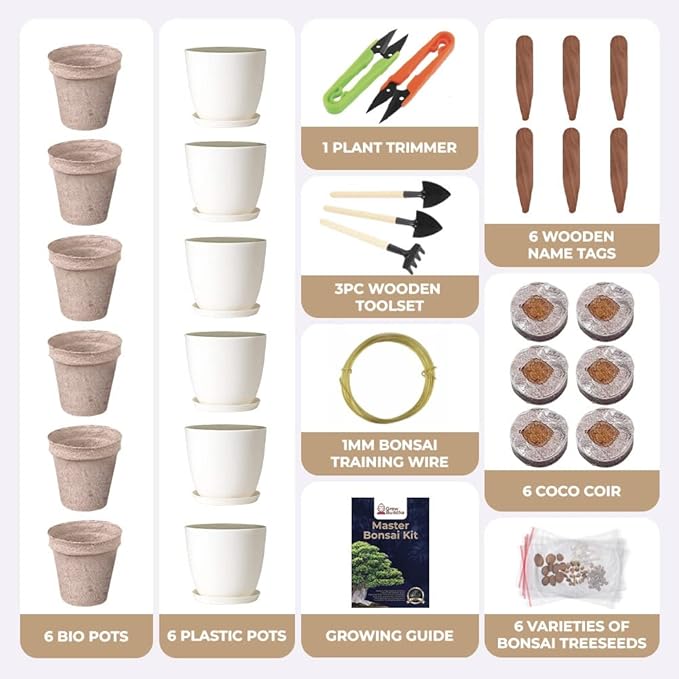 Grow Your Own Bonsai kit | Tree Plants & Seeds | Crafts Hobby Kits | Easily Grow 4 Types of Bonsai Trees with Our Complete Beginner Friendly Kit | Christmas Gift Ideas for Plant Lovers