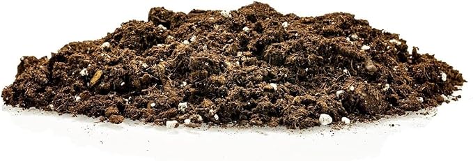 GARDENERA Premium Dracaena Potting Soil Mix - (20 Quart Bag)