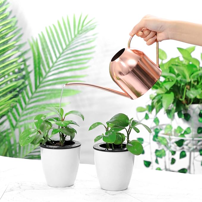 Yardwe 1000ml Stainless Steel Watering can for Indoor Plants, Long Spout Watering Pot for Garden Home Office, Rose Gold
