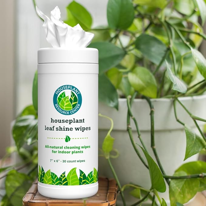Houseplant Leaf Shine & Cleaner Wipes | Removes Dust, Dirt & Water Spots for Healthier, Glossy Leaves | Easy-to-Use Natural Leaf Cleaning Wipes for Indoor & Outdoor Plants | 30 Count