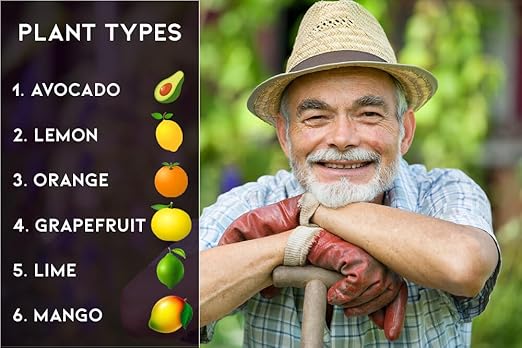 𝐁𝐄𝐒𝐓𝐒𝐄𝐋𝐋𝐄𝐑 6-4-6 Avocado Citrus Tree Plant Food for Outdoor/Indoor Gardening | Quick-Release Nitrogen Fertilizer | Orange, Lime, Avocado and Lemon Tree Fertilizer (10 Quarts)