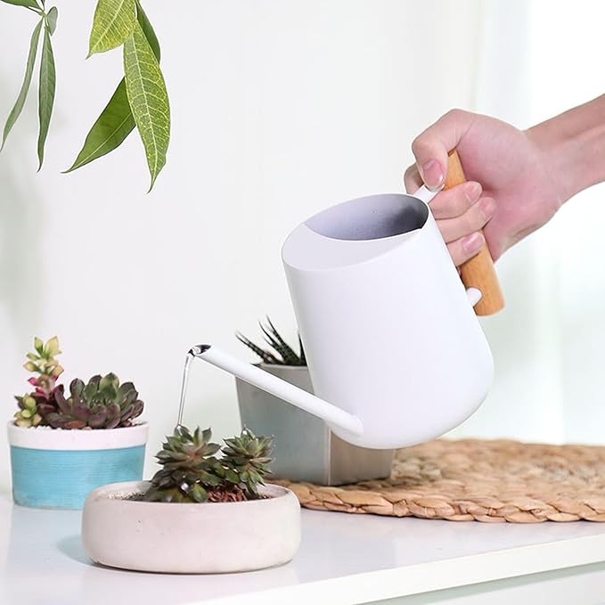Wood Handle Long Spout Watering Can Stainless Steel Plant Watering Pot Garden Green Plant Flower Watering Kettle for Indoor Outdoor Plants Garden Flower (White)