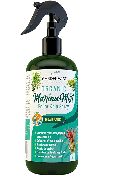 Organic Marina Mist Kelp Air Plants Fertilizer Spray | Plant Food for Tillandsia Air Plants | Air Plant Mister - Enhances Bloom, Vitality, and Pup Growth (16 OZ)