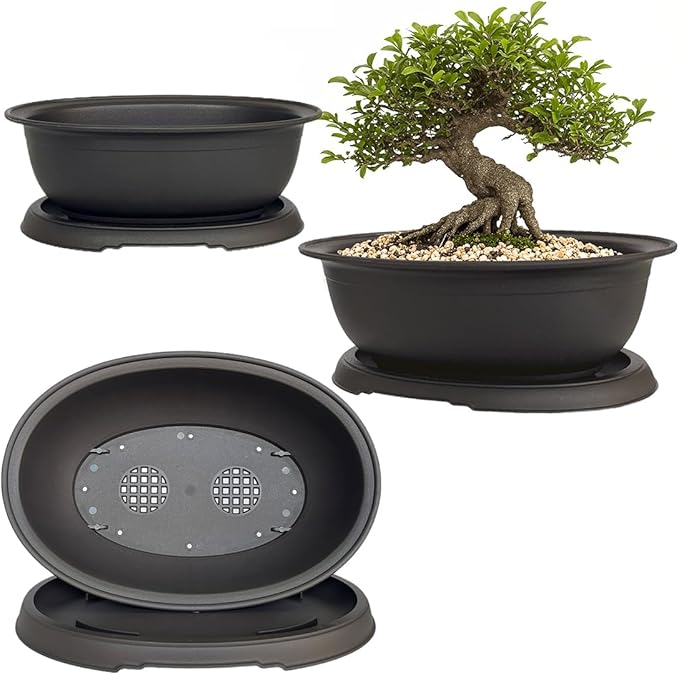 MUZHI 3 Pack Mixed Size Oval Bonsai Planter Pot with Drainage Tray, Matte Finish Ellipse Plastic Bonsai Succulent Growing Pot for Home Garden Plant Container 9.1” 7.2” 5.2”