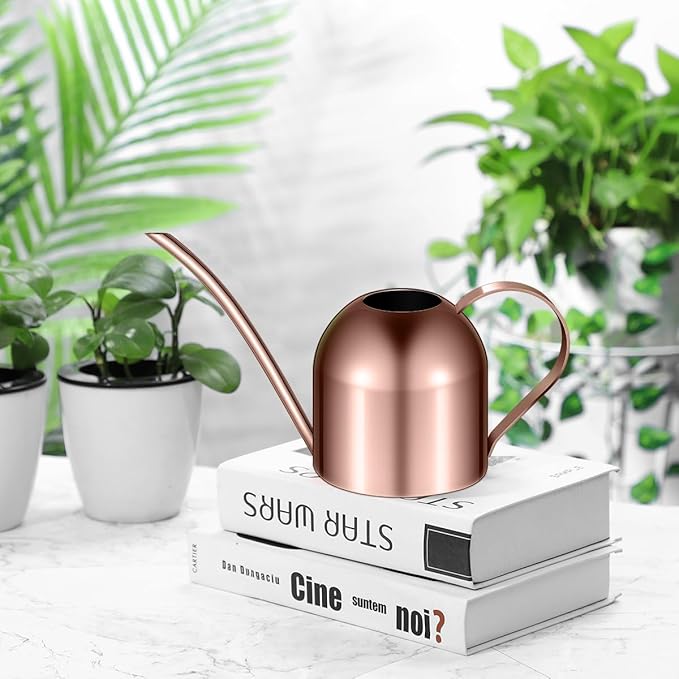 HANABASS 1000ml White Stainless Steel Water Can for Plants Scratch Modern Style