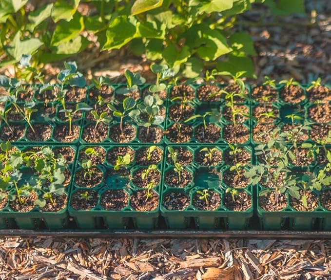 Vego garden Seedling Suite Products, 4 Pack Jumbo Seedling Trays and 4 Pack Standard Seedling Trays with 10" x 20" Bottom Watering Trays