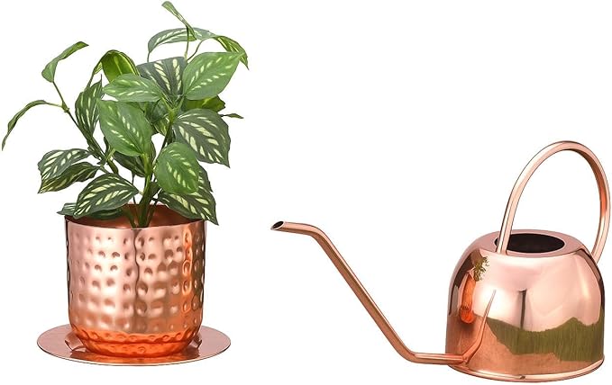 Glytterati- Indoor Watering Can and Planter with Plate.