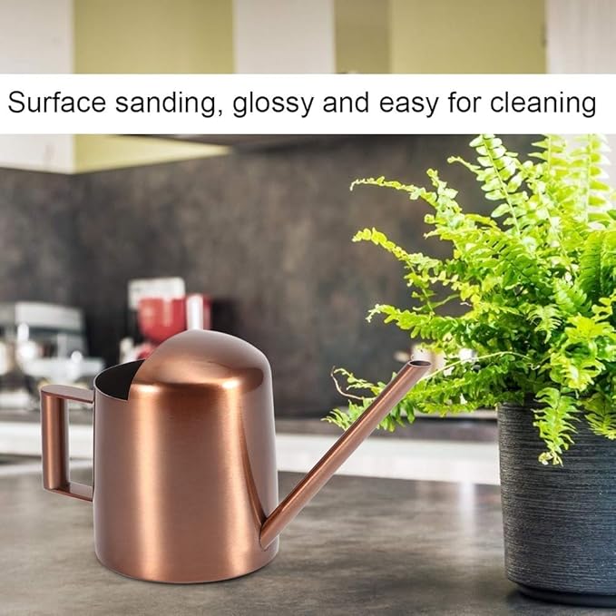 Milltrip Small Watering Can, 300ml Small Stainless Steel Watering Can Plant Flower Long Spout Sprinkling Pot for Home Use