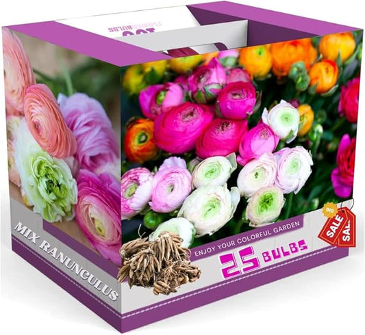 Ranunculus Bulbs for Planting, 25 Mix Ranunculus Bulbs for Fall Planting, French Peony Ranunculus Corms Bulk Ranunculus Flowers Buttercups, Butterfly Ranunculus Bulbs to Grow