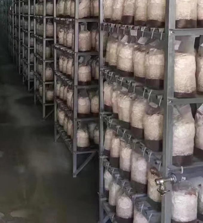 Mushroom Bags,Mushroom Grow Bag/Farm-Mushroom Spawn Bags/Sealable Spawn/Myco Bags,Large Size 8" X 5" X 19",0.5 Micron Filter, 3 Mil Polypropylene,for Substrate Autoclavable Mushroom Cultivation