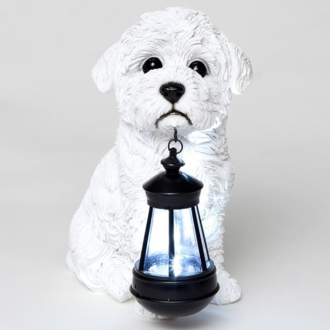 Bits and Pieces - Dog Solar Lantern Statue - Solar Powered Garden Lantern - Resin Dog Sculpture with LED Light - Outdoor Lighting and Décor (Bichon)