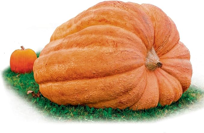 Park Seed Dill's Atlantic Giant Pumpkin Seeds – Non-GMO, World Record Giant Pumpkin Variety, Grows Up to 500 lbs or More, Heirloom for Competition or Display, Pack of 10
