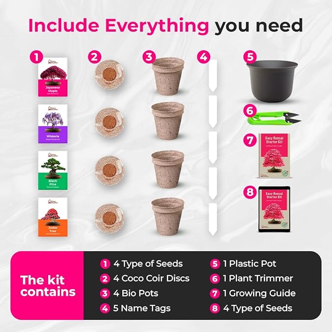 Grow Your Own Bonsai Tree kit | Easily Grow 4 Types of Bonsai Tree with Our Complete Beginner Friendly Bonsai Starter kit | Bonzai Tree | Christmas Gift Set for Plant Lovers (Bonsai Kit)