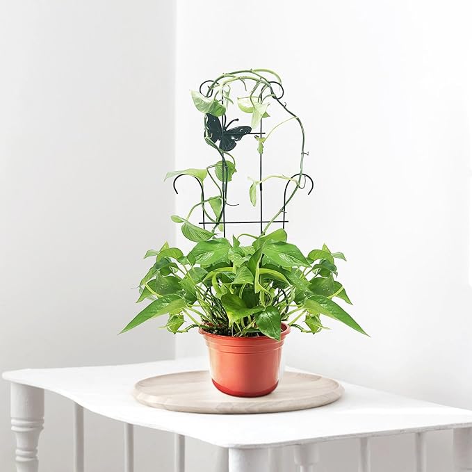 23 Inch Plant Trellis for Climbing Plants Indoor, Sturdy Metal Houseplant Trellis for Potted Plants, Rust-Resistant Plant Support for Monstera Pothos Ivy, Outdoor Garden Trellis 4 Pack