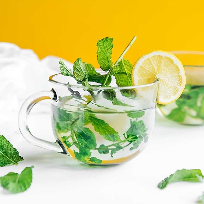 Mint Plants. Live, Fragrant, Fresh, Edible. Easy Grow. Indoor/Outdoor. (2 Any Mint Cups)