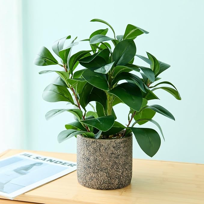 Indoor Faux Ficus Plant 13.5 inch Artificial Greenery in Rustic Cement Planter Realistic Dark Green Leaves with Textured Pot Maintenance-Free Small Fake Plant for Home Office Decor