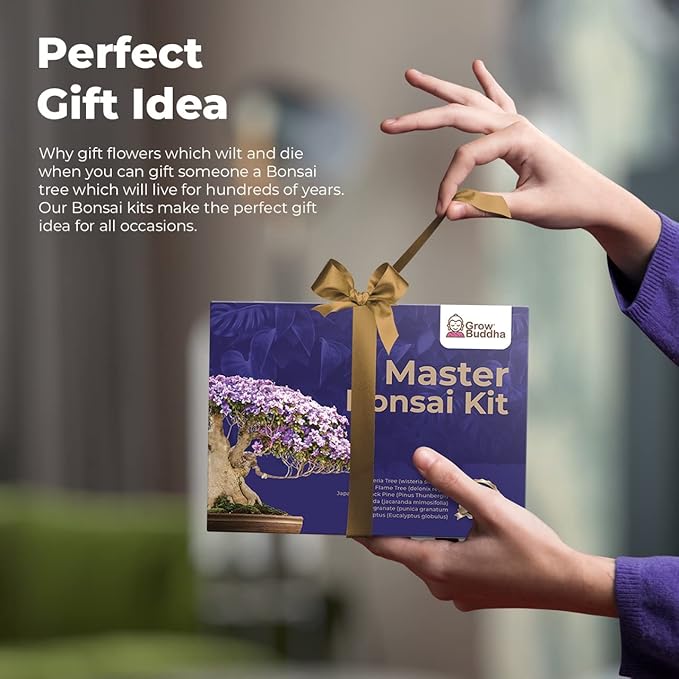 Grow Your Own Bonsai kit | Tree Plants & Seeds | Crafts Hobby Kits | Easily Grow 4 Types of Bonsai Trees with Our Complete Beginner Friendly Kit | Christmas Gift Ideas for Plant Lovers