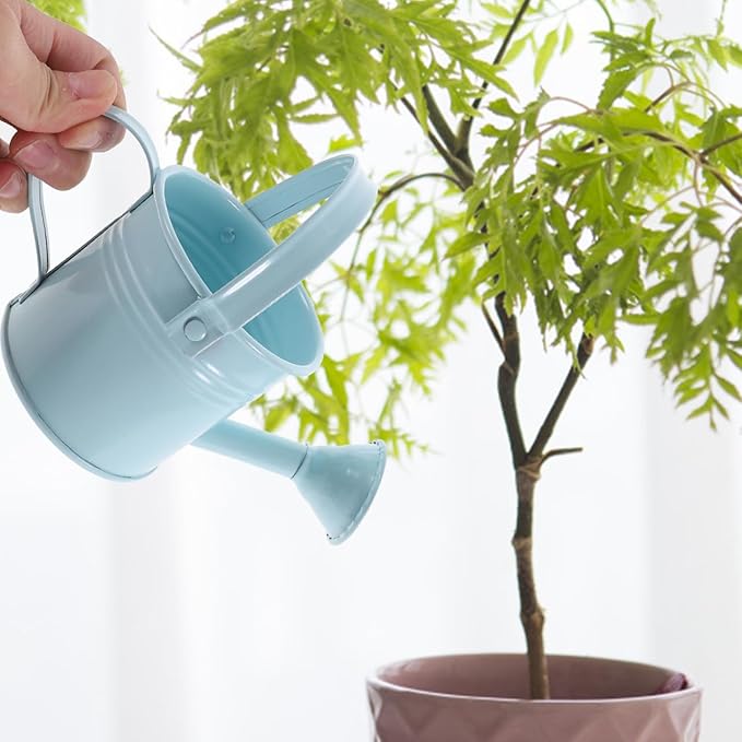 balacoo Metal Watering can Small 2-Pack Portable Garden Watering Pot with Long Spout for Indoor Outdoor Plants Flower Care