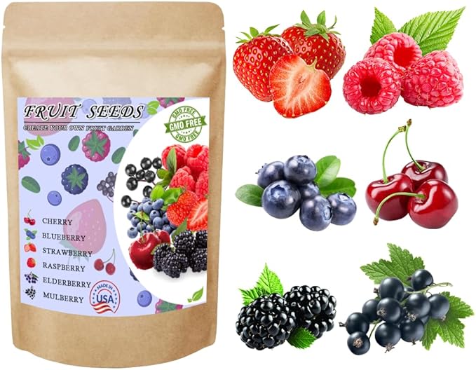 1000pcs Mix Fruit Seeds Berry Seeds for Planting Strawberry Raspberry Mulberry Blueberry Elderberry Cherry 6 Varieties Individually Packaged for Home Garden