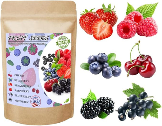 1000pcs Mix Fruit Seeds Berry Seeds for Planting Strawberry Raspberry Mulberry Blueberry Elderberry Cherry 6 Varieties Individually Packaged for Home Garden