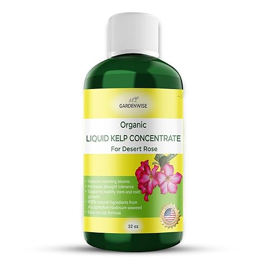 Liquid Kelp Fertilizer for Desert Rose - Plant Food for Adenium & Desert Plants - Organic Seaweed Fertilizer for Robust Growth and Blooms (32 OZ)