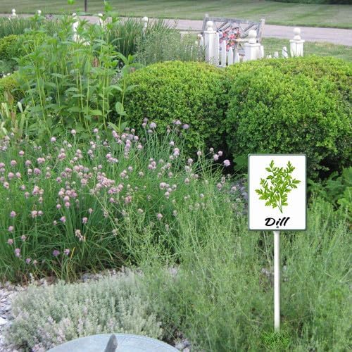 FemiaD Plant Label Signs Planted Herb Garden Markers Waterproof Aluminum Plant Stake Tags Dill Sign for Nursery Indoor Outdoor Garden Decoration 8x12inch